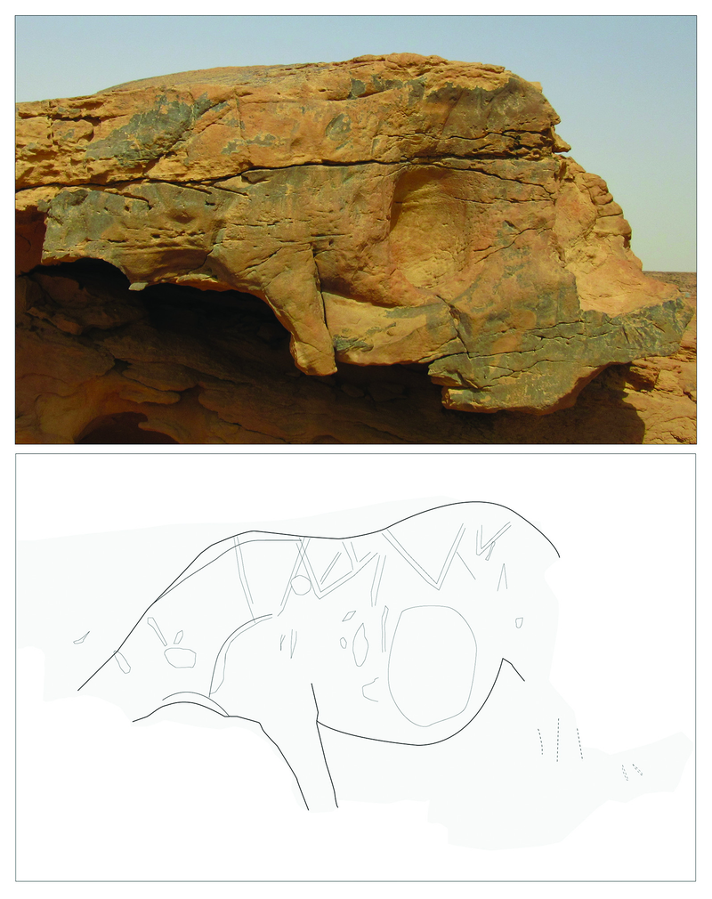 Equid number 3. (Image: G. Charloux et al., 2018)